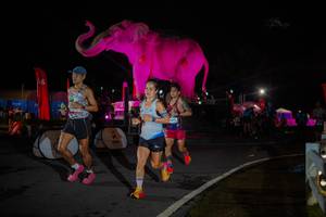 BIB: 
                            <button type="button" onclick="openModal(26551843)" class="btn btn-primary btn-sm float-right btn-popup" data-toggle="modal" data-target=".modal-high-quality">
                        <i class="fas fa-shopping-cart"></i> Add to Cart
                    </button>
                                            <button type="button" onclick="isThisMe(26551843, true)" class="btn btn-success btn-sm float-right btn-popup btn-isme hidden" data-toggle="tooltip" data-placement="bottom" title="นี่คือรูปของคุณใช่ไหม คลิกที่นี่เพื่อเอาเข้าอัลบั้ม">
                        <i class="fas fa-plus"></i> Add to album
                    </button>
                    <button type="button" onclick="isThisMe(26551843, false)" class="btn btn-warning btn-sm float-right btn-popup btn-isnotme hidden">
                        <i class="fas fa-ban"></i> Remove from album
                    </button>